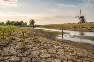 Neerslagtekort door droogte brengt risico’s voor natuur, landbouw en waterveiligheid
