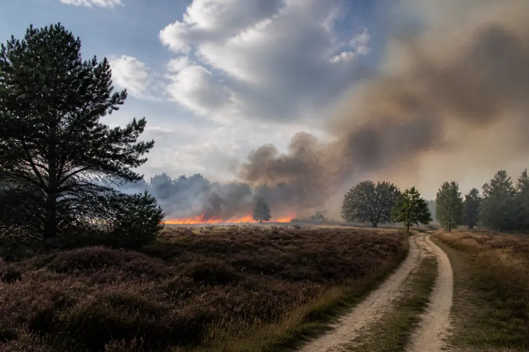 Opnieuw natuurbrand tussen Oirschot en Middelbeers gemeld